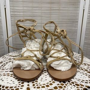 Raye Sage Gladiator Sandals Tan Leather Strappy Ankle Tie Size 8